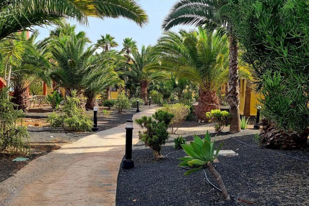 Appartamento Frangipani Con Terrazza E Piscina Corralejo Esterno foto
